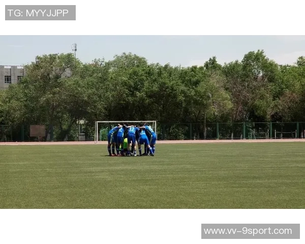 新疆足球的崛起与传承：探索这片热土上的绿茵梦想与奋斗故事